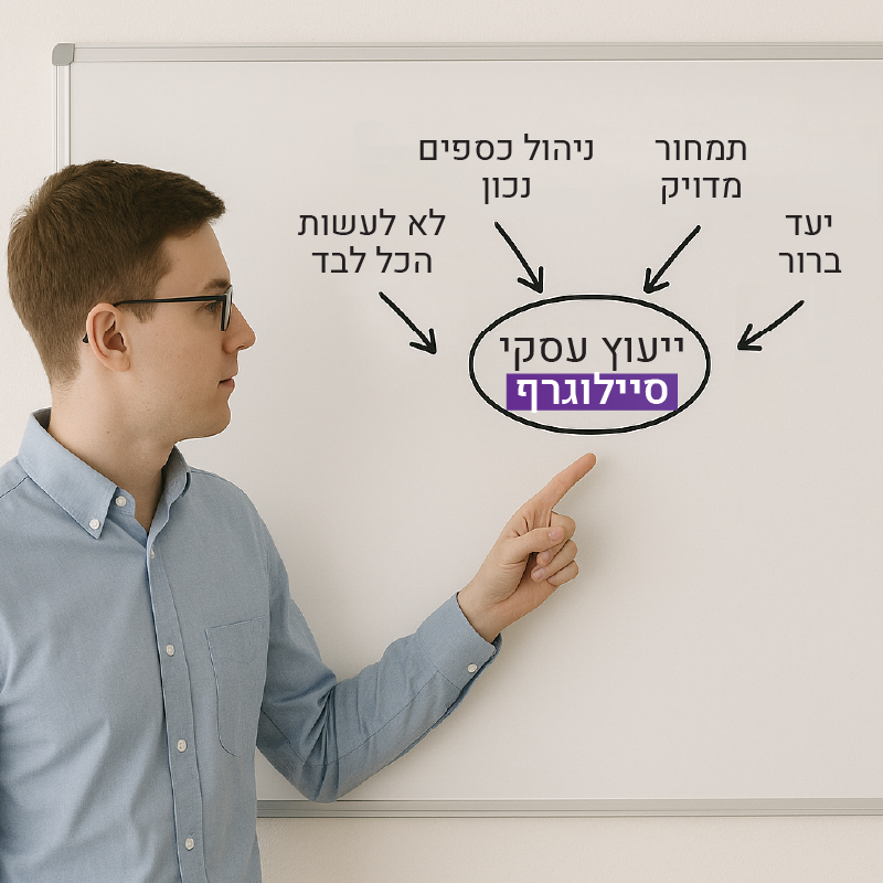 חברת ייעוץ עסקי_סיילוגרף